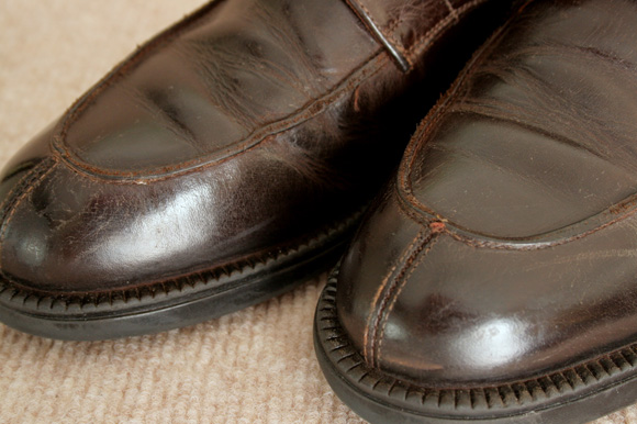 �J�W���A�����i�摜c22-9