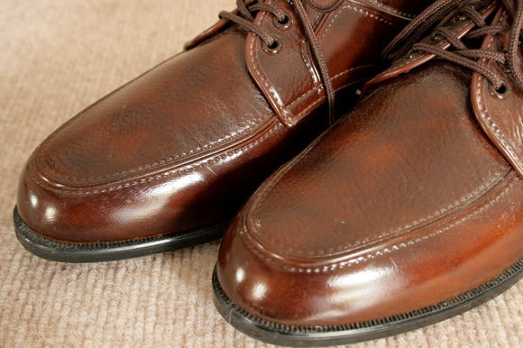 �h���X���i�摜d7-6