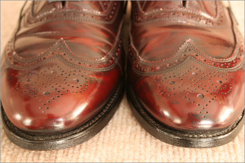 �E�B���O�`�b�v���i�摜t1-7