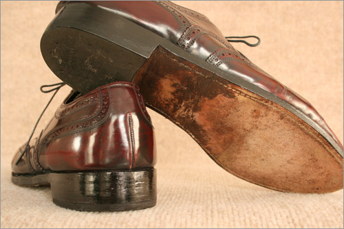 �E�B���O�`�b�v���i�摜t1-9